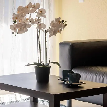 Interlaken Peak View *